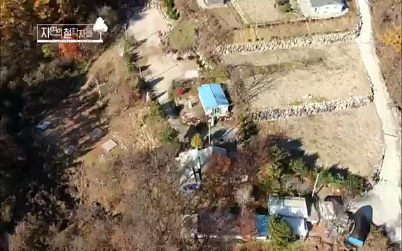 [3회] 자연의 철학자들 - KBS새처럼 살고 싶어라] 자연이라는 위대한 법당에서 숲의 울림, 새들의 소리를 들으며 깨달음을 얻은 도연 스님.ts_20220320_153546.214.jpg