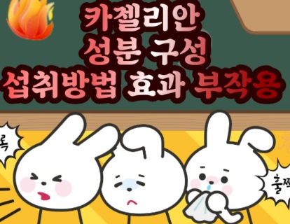 카젤리안-효능-부작용