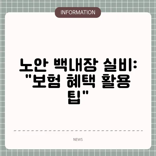 노안 백내장 실비: 