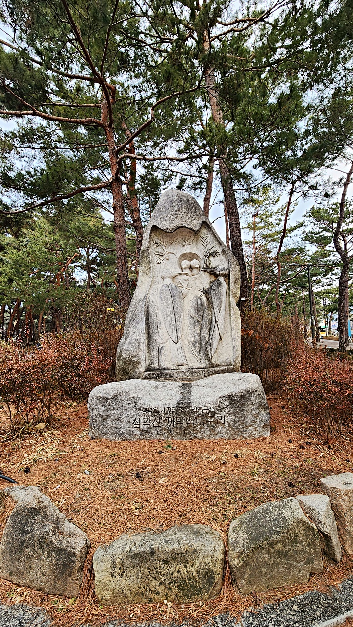 솔밭 이미지