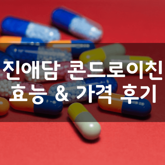 진애담-콘드로이친-의미-성분-효능-복용법-가격-내돈내산-후기-알아보기