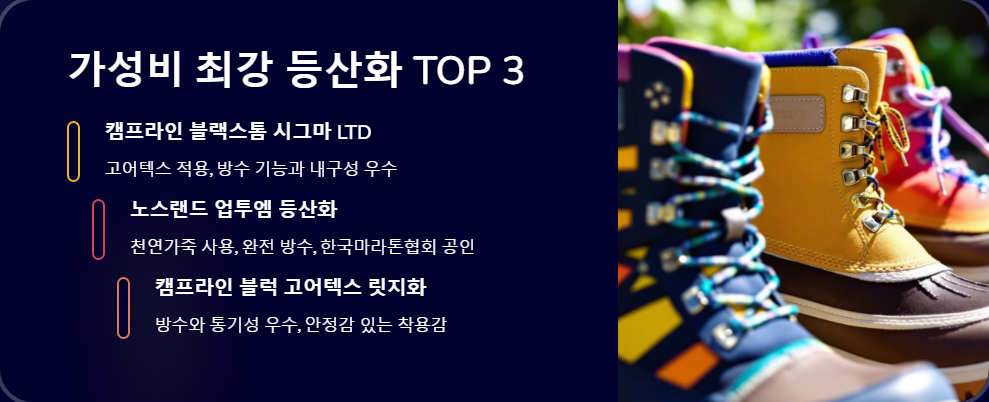 2025년등산화