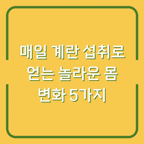 매일 계란 섭취로 얻는 놀라운 몸 변화 5가지