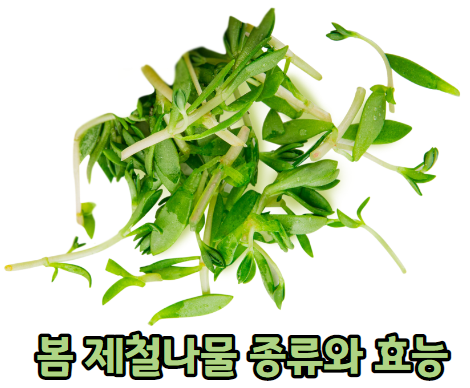 봄철 제철 채소의 종류와 효능