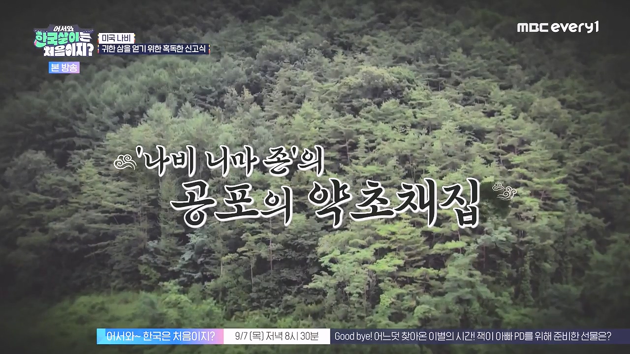 어서와 한국살이는 처음이지.E16.230905p-NEXT.mp4_20230906_202718.258.jpg