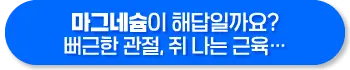 마그네슘 효능, 부족증상, 복용방법과 주의사항