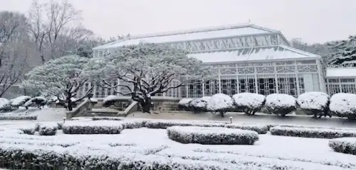 창경궁 대온실 설경 이미지2