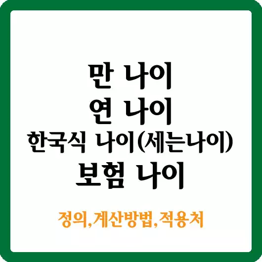 각각의 나이 계산 방법 적용처