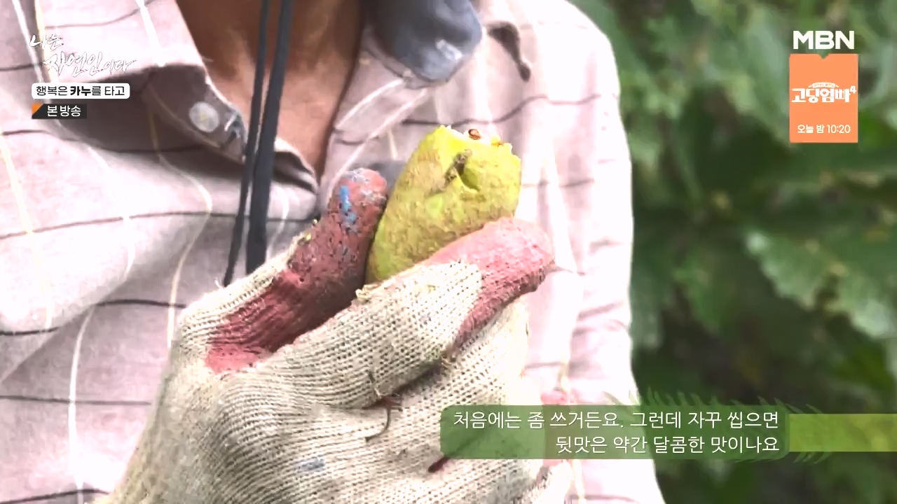 나는 자연인이다.E576.231019p-NEXT.mp4_20231019_201416.317.jpg