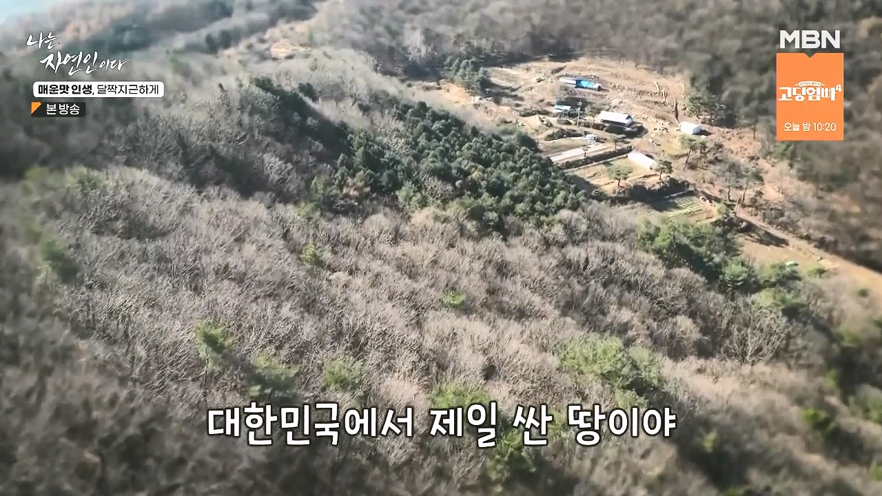 나는 자연인이다.E585.231221p-NEXT.mp4_20231221_200826.837.jpg