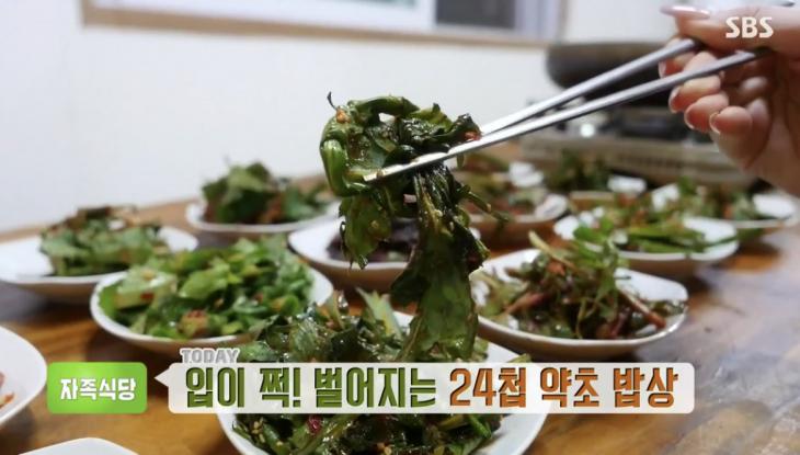  ‘생방송 투데이-자족식당’ 24첩 약초 밥상+약초돼지불고기 맛집 #약초밥상 #약초돼지불고기 #맛집 #자족식당
