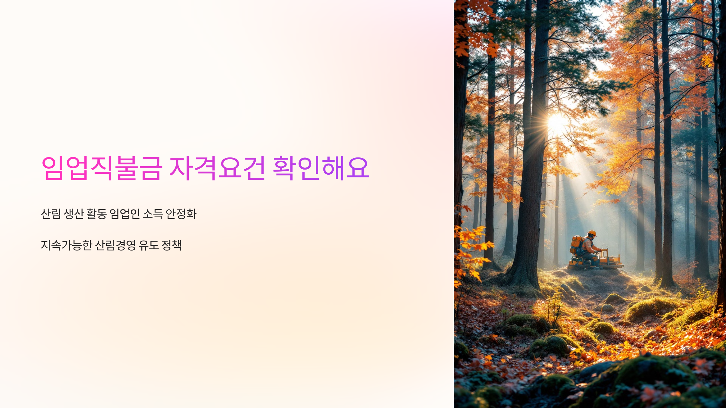 임업직불금 자격요건 확인해요