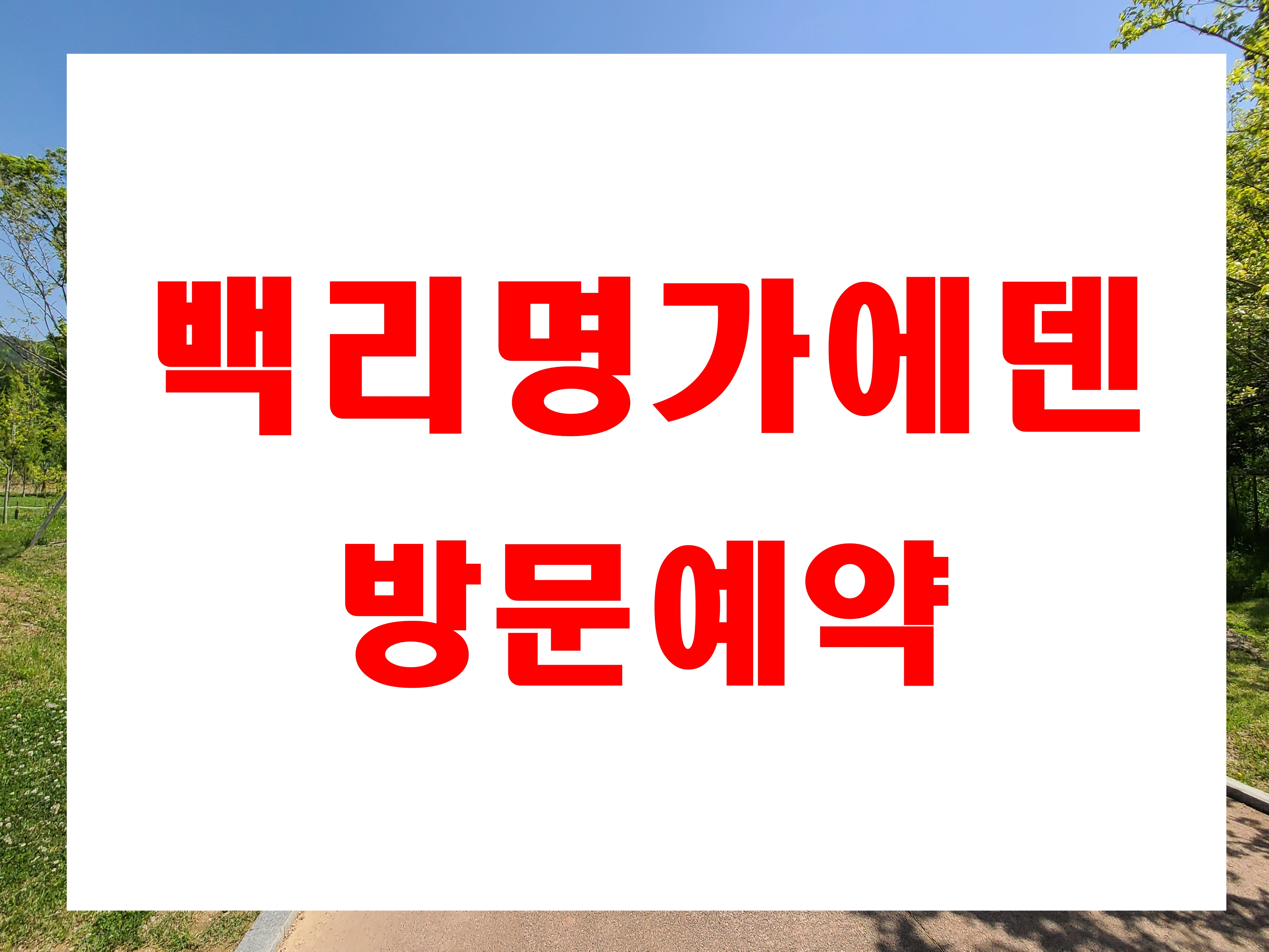  대연동 아파트 매매 백리명가에덴 전세 있어요.