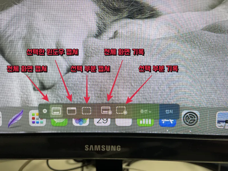 스크린샷 화면