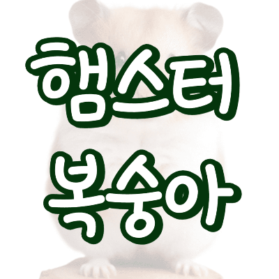 햄스터 복숭아