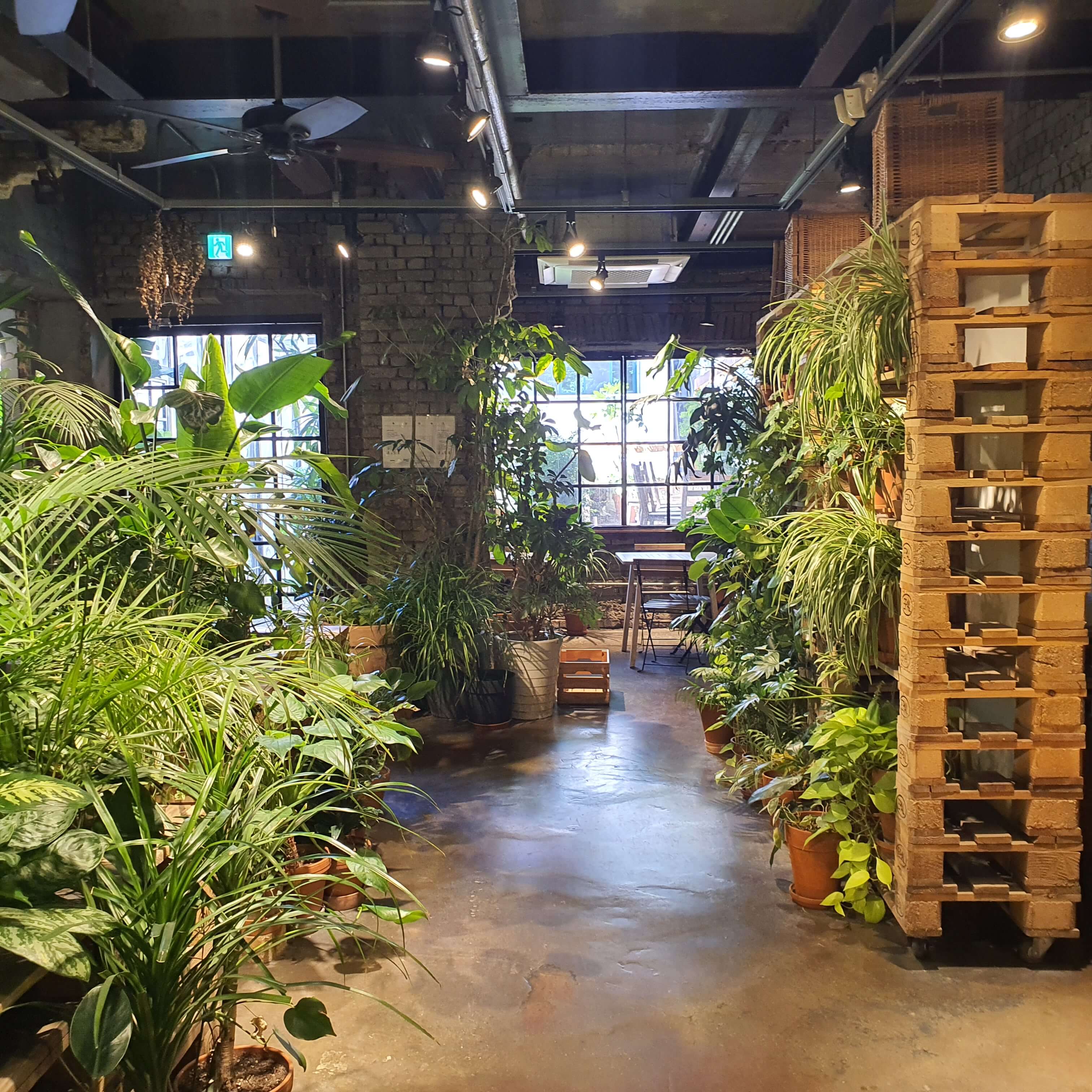  합정 브런치,파스타 맛집-어반플랜트(Urban plant) 소개팅 장소로 추천해요