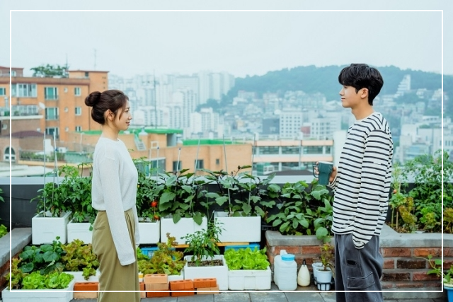 2024년 JTBC 신규 드라마 라인업