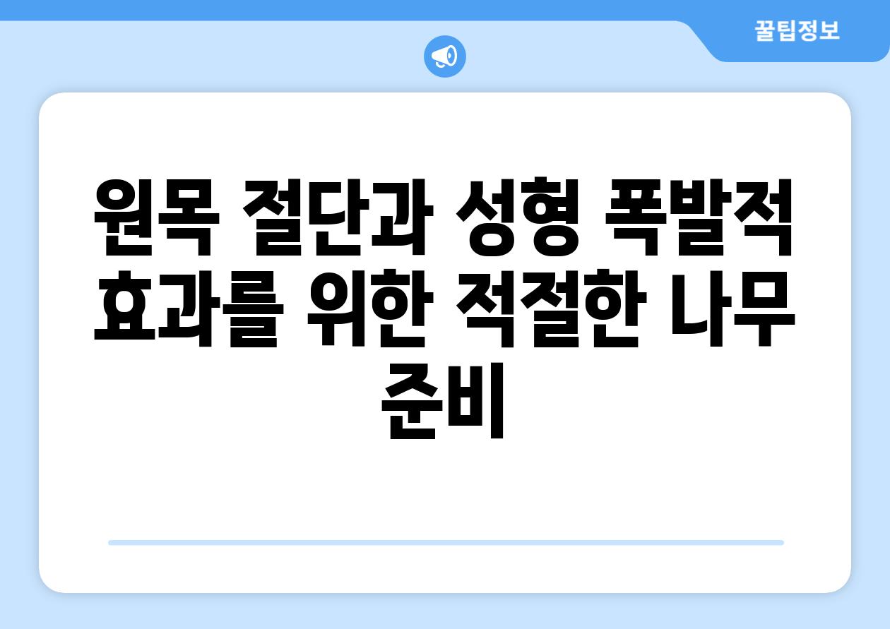 원목 절단과 성형 폭발적 효과를 위한 적절한 나무 준비