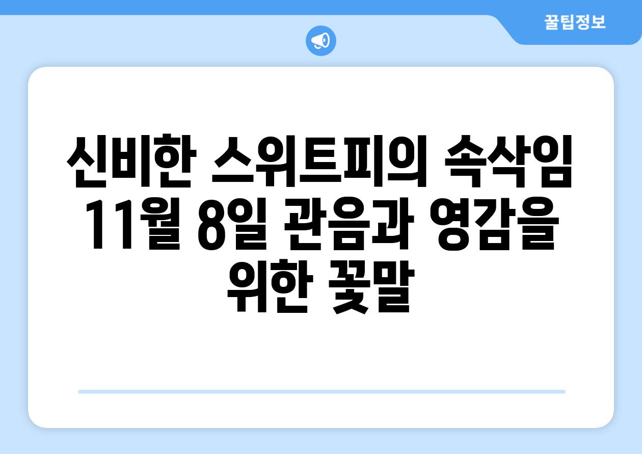 신비한 스위트피의 속삭임 11월 8일 관음과 영감을 위한 꽃말