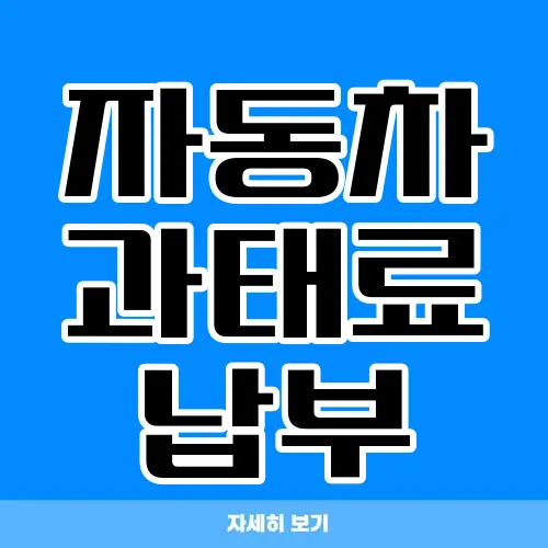 자동차 과태료 납부