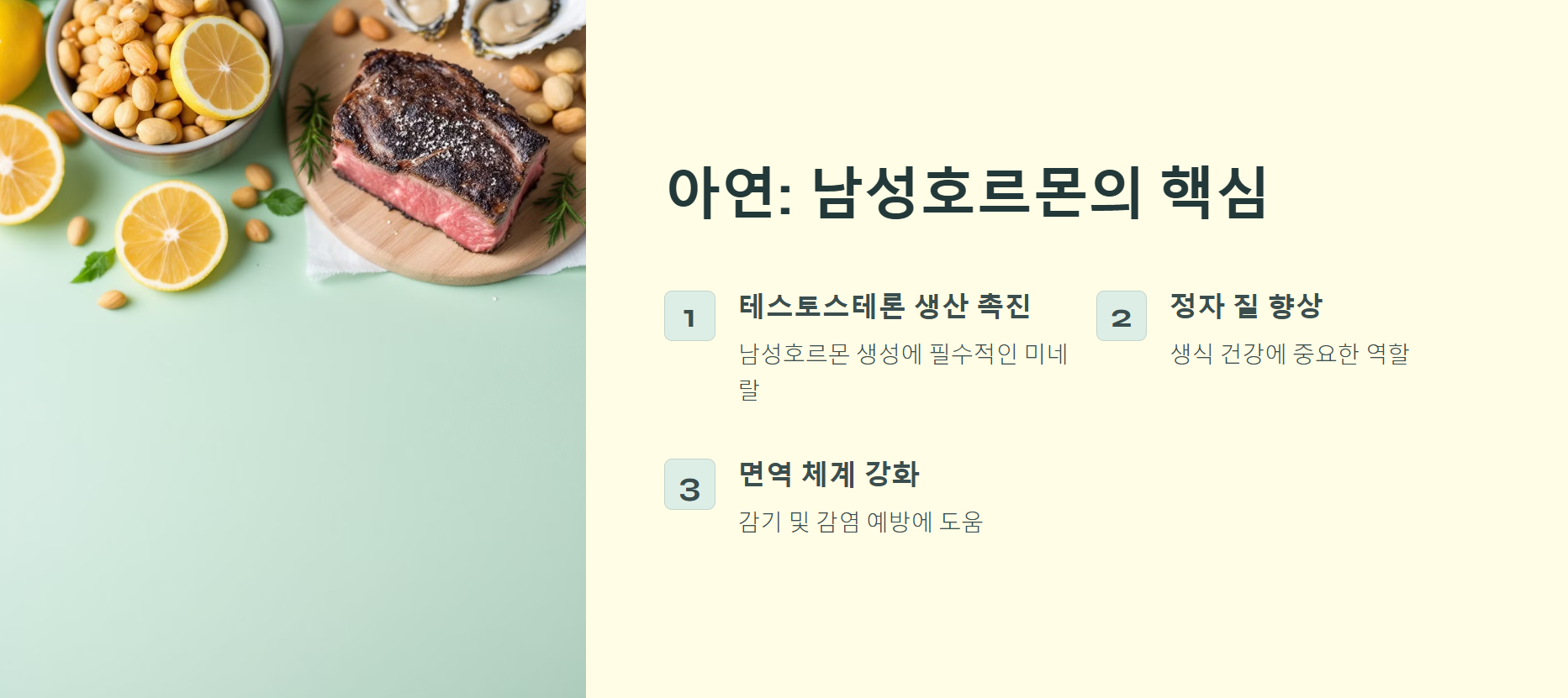 아연, 남성호르몬의 핵심 영양소