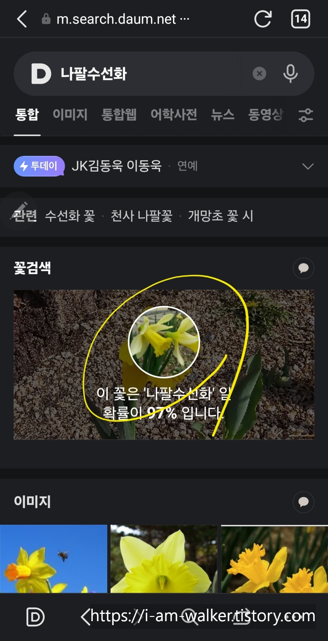 다음 앱 꽃검색 결과