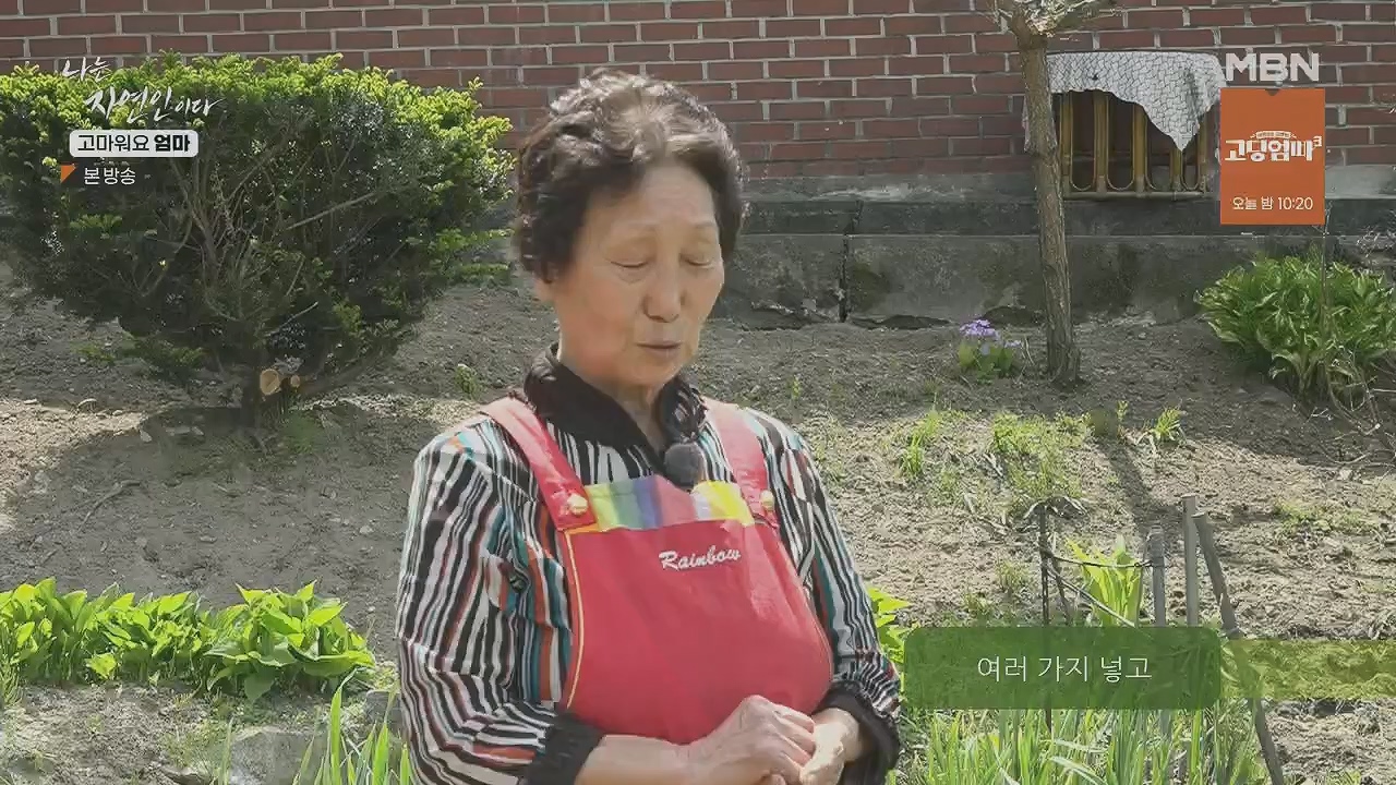 나는 자연인이다.E554.230518p.H264-F1RST.mp4_20230518_194510.440.jpg