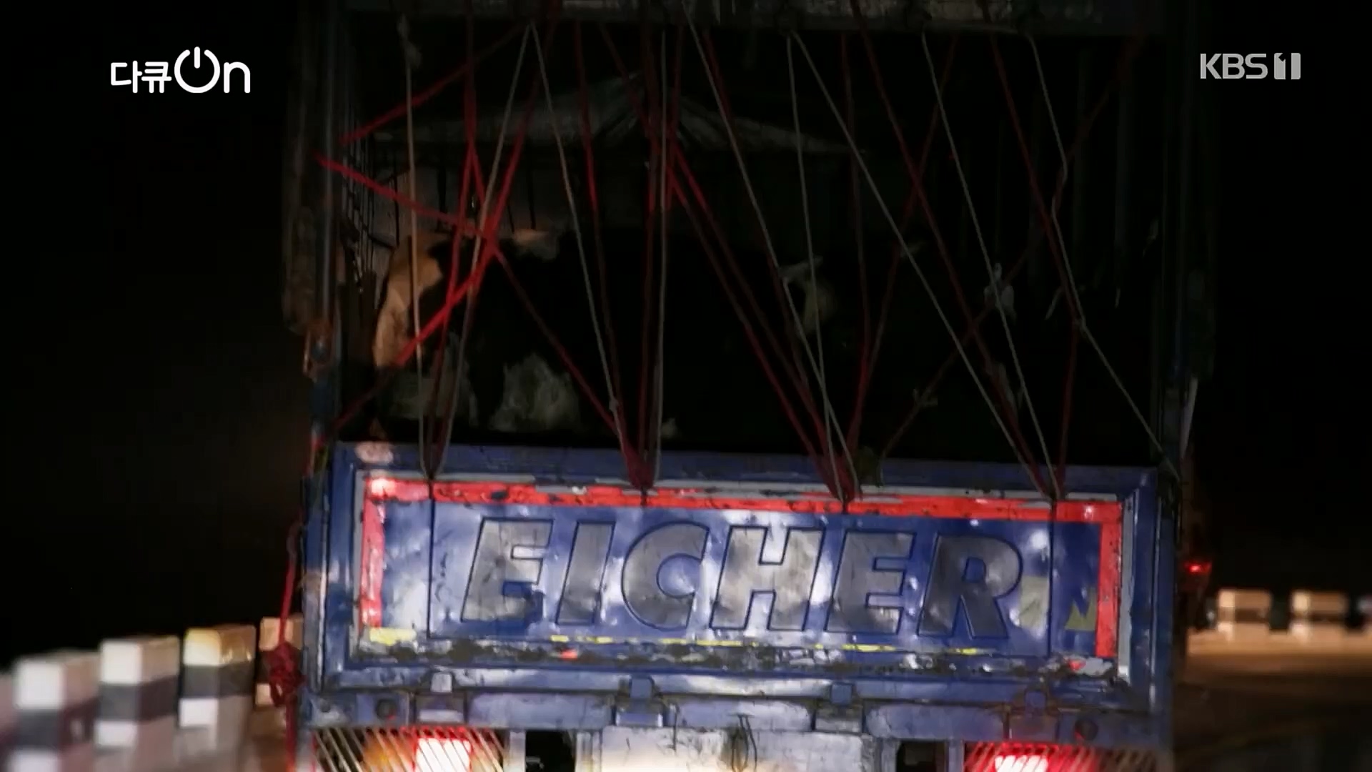 다큐 On.E184.230203p.H264-F1RST.mp4_20230211_175634.383.jpg