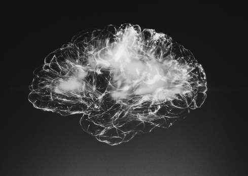 뇌의 이미지사진