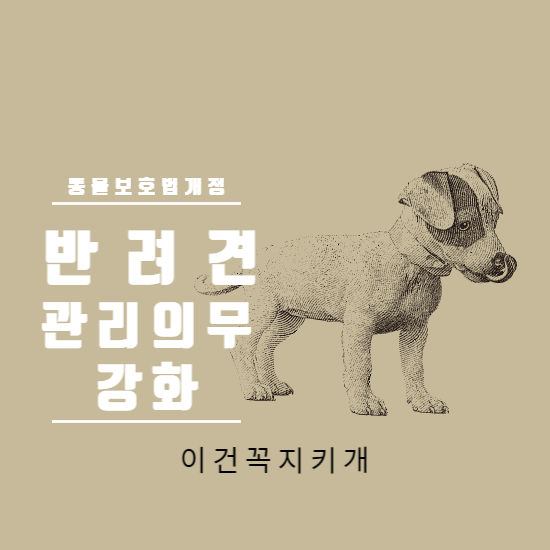  반려견 관리 의무 강화
