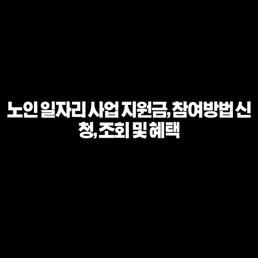노인 일자리 사업 지원금, 참여방법 신청, 조회 및 혜택 노인 일자리 사업 지원금, 참여방법 신청, 조회 및 혜택