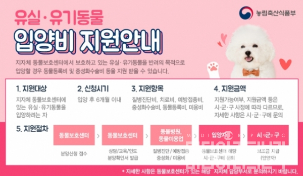  최신 지자체별 반려동물 지원정책 총정리! 병원비 걱정 줄이는 방법 놓치지 마세요~