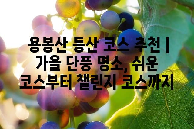 랜덤128