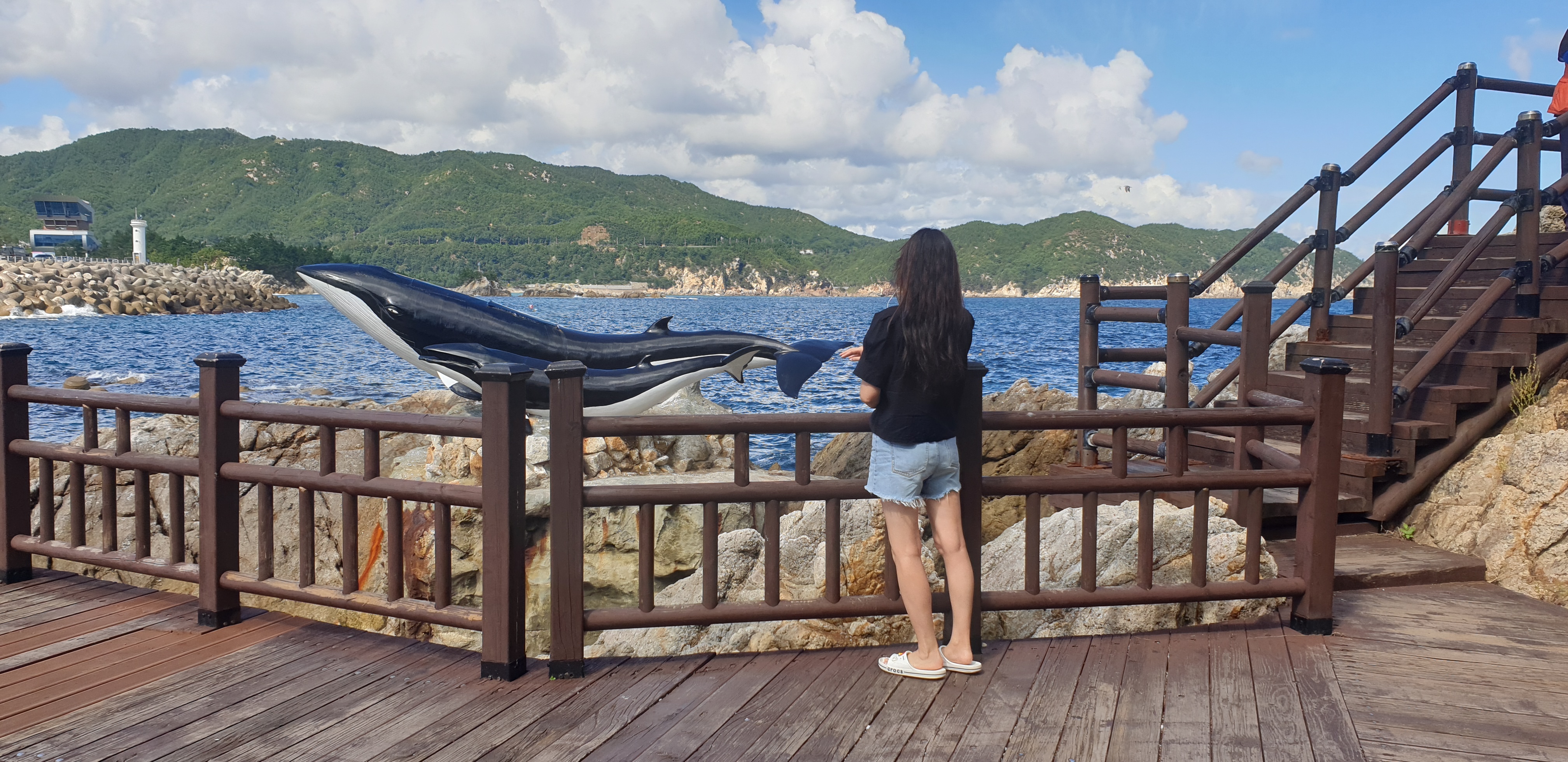 강원 삼척 장호항 : 동양의 나폴리