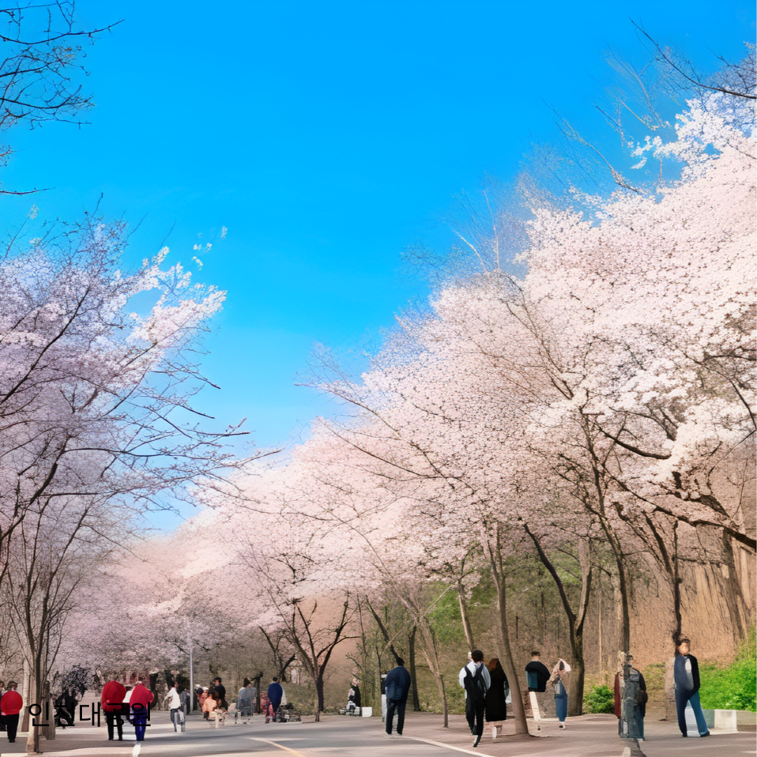 벚꽃명소