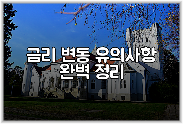 금리 변동 유의사항 완벽 정리