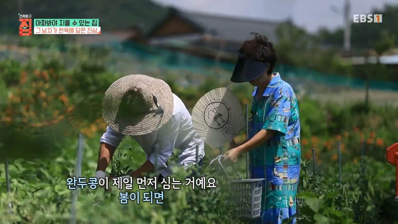 TV - 전 국민의 평생학교 EBS아파봐야 지을 수 있는 집.mp4_20230816_212622.913.jpg