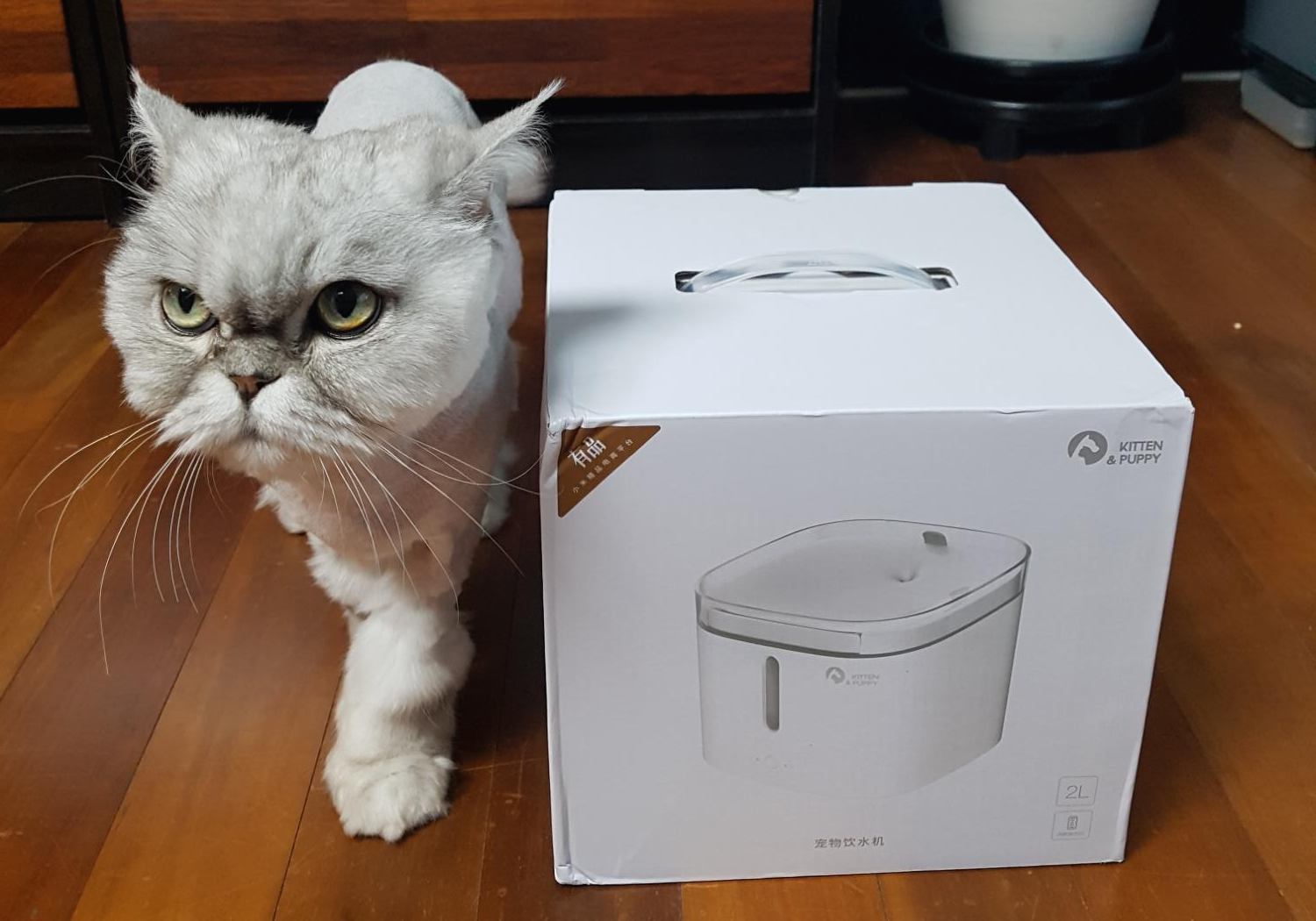  샤오미 고양이(애견) 정수기