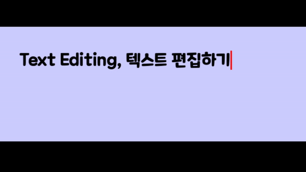  파이썬 게임만들기 11 | 텍스트 편집하기 | PYGAME
