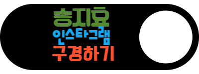 송지효 인스타그램 바로가기