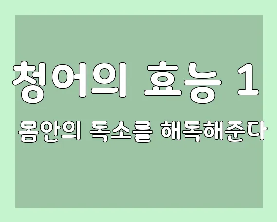 청어의 효능 1 몸안의 독소를 해독해준다