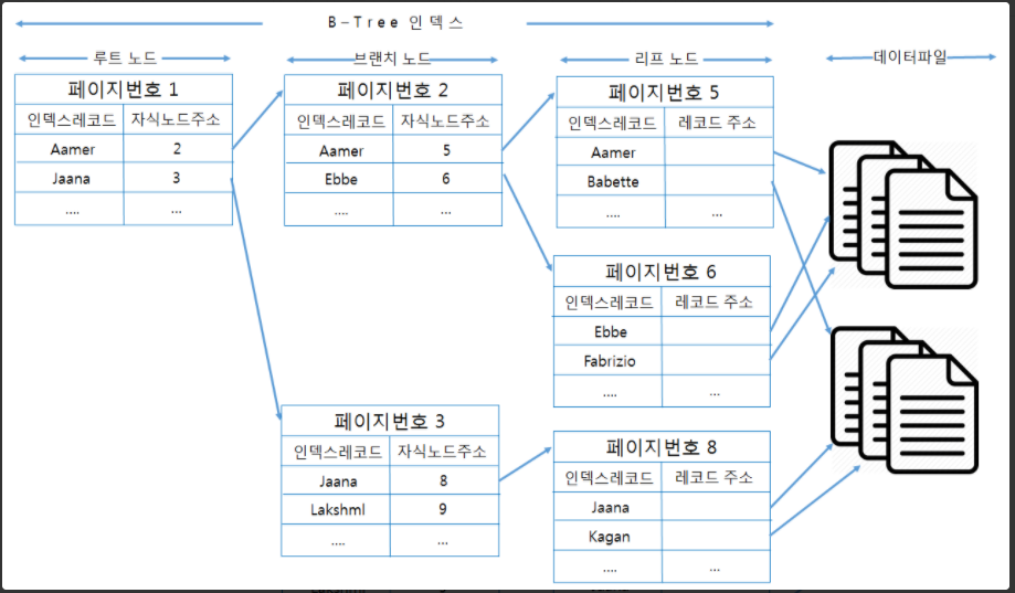 [DataBase] MySQL Index 1 (B-tree index)