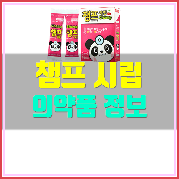  챔프 시럽 해열제 가격 복용법