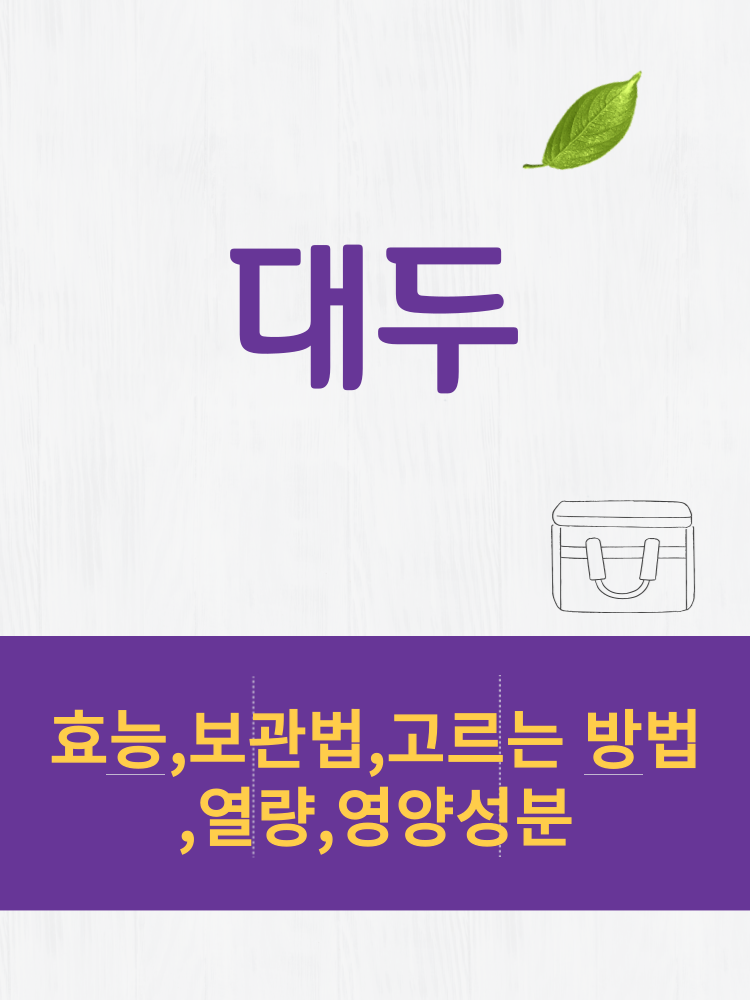  대두 효능 및 열량과 보관법 칼로리 총정리 