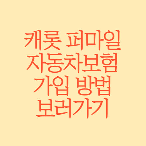 캐롯-퍼마일-자동차보험-가입-방법-알아보기