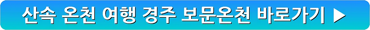 산속 온천 여행 경주 보문온천_21