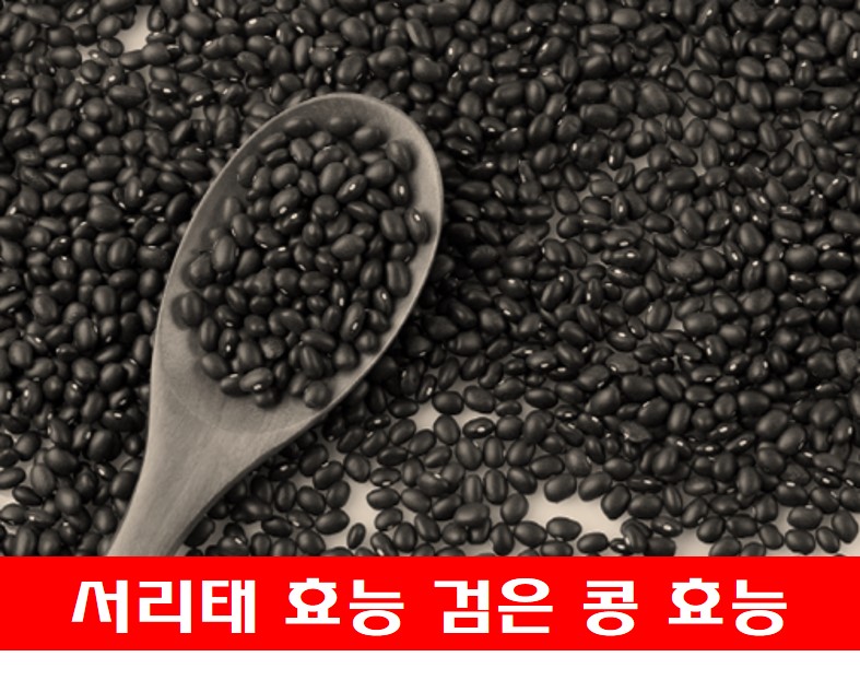  서리태 효능 검은 콩 효능 칼로리 부작용 알아보기