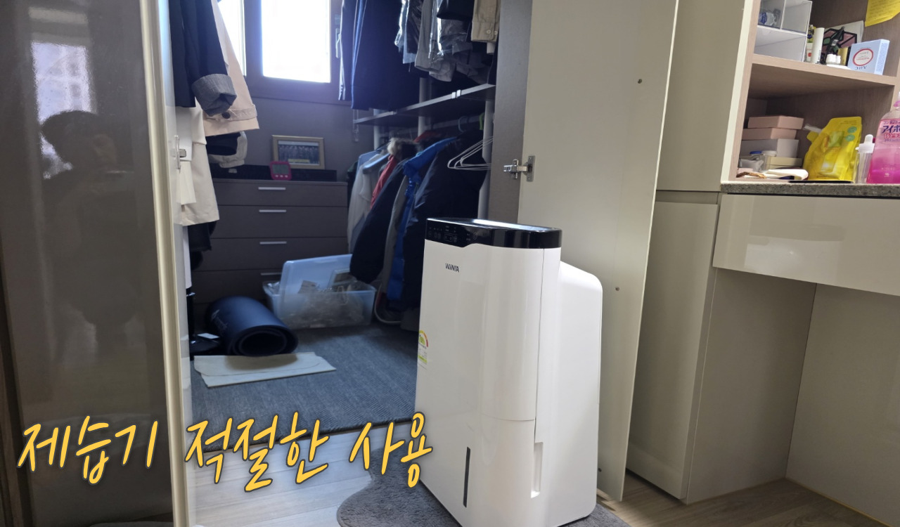 제습기 사용