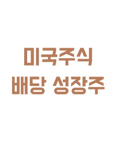 미국 주식 배당 성장주 투자 전략에 관한 이미지 입니다.