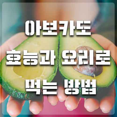  아보카도 효능과 요리로 먹는 방법